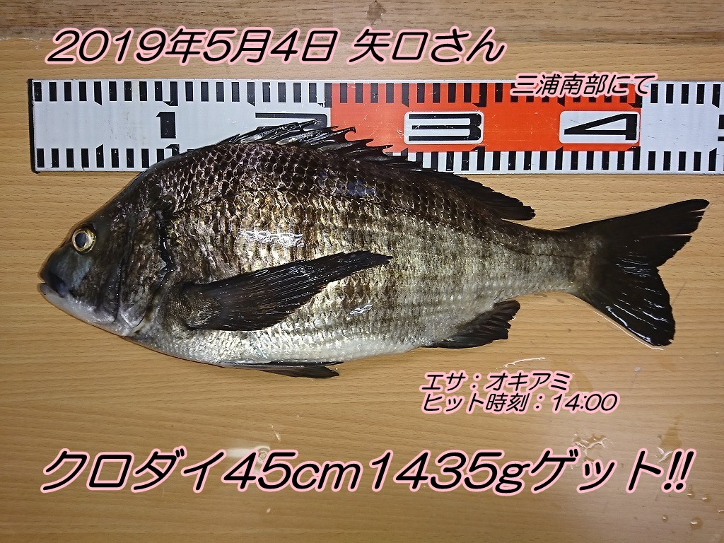 クロダイ45cm1435g出ました エサの釣り王